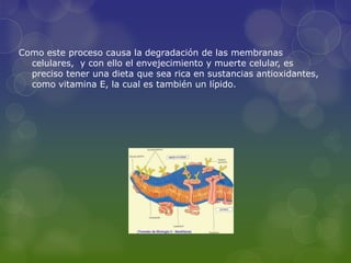 Como este proceso causa la degradación de las membranas
  celulares, y con ello el envejecimiento y muerte celular, es
  preciso tener una dieta que sea rica en sustancias antioxidantes,
  como vitamina E, la cual es también un lípido.
 