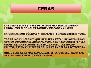 CERAS


LAS CERAS SON ÉSTERES DE ÁCIDOS GRASOS DE CADENA
LARGA, CON ALCOHOLES TAMBIÉN DE CADENA LARGA.

EN GENRAL SON SÓLIDAS Y TOTALMENTE INSOLUBLES E AGUA.

TODAS LAS FUNCIONES QUE REALIZAN ESTÁN RELACIONADAS
CON SU IMPERMEABILIDAD AL AGUA Y CON SU CONSISTENCIA
FIRME. ASÍ LAS PLUMAS, EL PELO, LA PIEL, LAS HOJAS,
FRUTOS, ESTÁN CUBIERTAS DE UNA CAPA CÉREA PROTECTORA.

UNA DE LAS CERA MÁS CONOCIDAS ES LA QUE SEGREGAN LAS
ABEJAS PARA COFECCINAR SU PANAL.
 