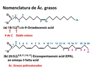 Nomenclatura de Ác. grasos




 # de C   Doble enlace




   Ác. Grasos polinsaturados
 