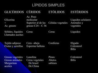 LÍPIDOS SIMPLES
GLICÉRIDOS CÉRIDOS                     ETÓLIDOS            ESTÉRIDOS
                    Ac. Peso
Glicerina           molécular                              Líquidos celulares
+                   Superior al de las Células vegetales   Animales y
Ac. grasos          grasas C24 – C 36                      vegetales

Sólidos, líquidos   Ceras              Ceras               Líquidos
Llamados aceites


Tejido adiposo      Cera –abeja        Confieras           Hígado
Frutas y semillas   Esperma ballena                        Colesterol
                                                           Bilis

Grasas vegetales    Lanolina           Pinos               Colesterol
Grasas animales     Ceras vegetales    Abetos              Bilis
Margarinas           De brasil         sabinos
aceites              De China
 