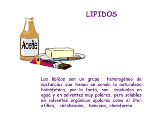 LIPIDOS




Los lípidos son un grupo      heterogéneo de
sustancias que tienen en común la naturaleza
hidrófobica, por lo tanto, son insolubles en
agua y en solventes muy polares, pero solubles
en solventes orgánicos apolares como el éter
etílico, ciclohexano, benceno, cloroformo
 