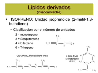 Lípidos derivados (insaponificables) ISOPRENO: Unidad isoprenoide (2-metil-1,3-butadieno) Clasificación por el número de unidades 2 = monoterpeno 3 = Sesquiterpeno 4 = Diterpeno 6 = Triterpeno GERANIOL, monoterpeno lineal LIMOLENO Monoterpeno cíclico 