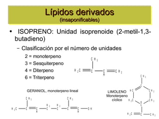 Lípidos derivados (insaponificables) ,[object Object],[object Object],[object Object],[object Object],[object Object],[object Object],GERANIOL, monoterpeno lineal LIMOLENO Monoterpeno cíclico 