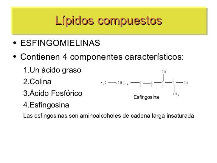 Lipidos estructura y función