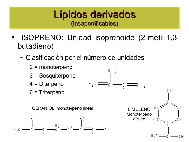 Lipidos estructura y función