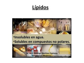 Lípidos




•Insolubles en agua.
•Solubles en compuestos no polares.


        M. en C. Rodrigo Martínez Espinosa
              Bioquímica, Medicina.
 