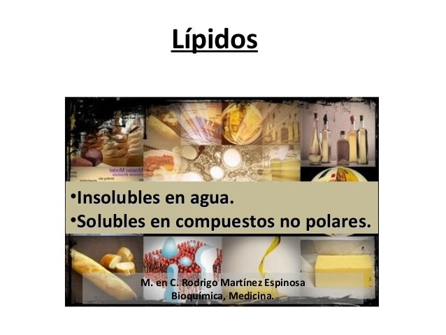 Lipidos