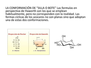 Lipidos | PPTX