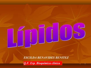 ESCILDA BENAVIDES BENITEZ
Q.F. Esp. Bioquímica BENITEZ
      ESCILDA BENAVIDES clínica   1
 