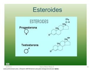 16/05/13 Gloria Maria Mejia Z. 33
www.authorstream.com/.../Vampirin-189730-biomol-culas-pidos-biology-biomolecules-lipidos-
 