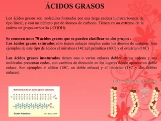 ÁCIDOS GRASOS
Los ácidos grasos son moléculas formadas por una larga cadena hidrocarbonada de
tipo lineal, y con un número par de átomos de carbono. Tienen en un extremo de la
cadena un grupo carboxilo (-COOH).
Se conocen unos 70 ácidos grasos que se pueden clasificar en dos grupos :
Los ácidos grasos saturados sólo tienen enlaces simples entre los átomos de carbono. Son
ejemplos de este tipo de ácidos el mirístico (14C);el palmítico (16C) y el esteárico (18C)
.
Los ácidos grasos insaturados tienen uno o varios enlaces dobles en su cadena y sus
moléculas presentan codos, con cambios de dirección en los lugares dónde aparece un doble
enlace. Son ejemplos el oléico (18C, un doble enlace) y el linoleíco (18C y dos dobles
enlaces).
 