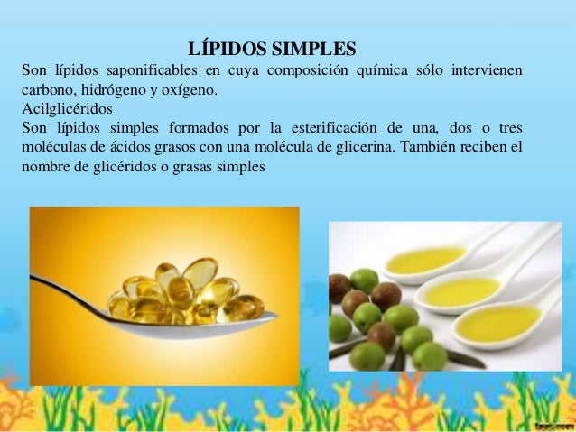 lipidos alimentos lipidos lipidos alimentos lipidos