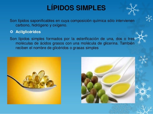 LIPIDOS