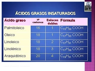 CONDE SARANGO ANA MARIA

 