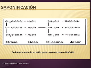 CONDE SARANGO ANA MARIA

 