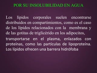 POR SU INSOLUBILIDAD EN AGUA
Los lípidos corporales suelen encontrarse
distribuidos en compartimientos, como es el caso
de los lípidos relacionados con la membrana y
de las gotitas de triglicérido en los adipocitos,
transportarse en el plasma, enlazados con
proteínas, como las partículas de lipoproteína.
Los lípidos ofrecen una barrera hidrófoba

 
