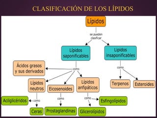 CLASIFICACIÓN DE LOS LÍPIDOS

 