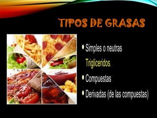 TIPOS DE GRASAS

 