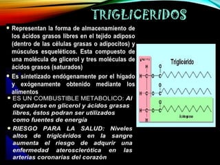 TRIGLICERIDOS

 