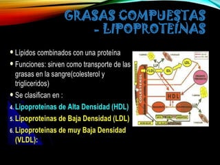 GRASAS COMPUESTAS
- LIPOPROTEÍNAS

 