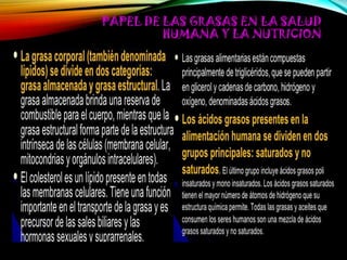 PAPEL DE LAS GRASAS EN LA SALUD
HUMANA Y LA NUTRICION

 