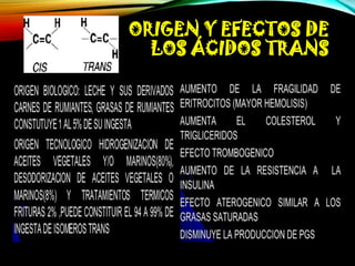 ORIGEN Y EFECTOS DE
LOS ÁCIDOS TRANS

 