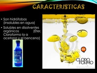 CARACTERISTICAS
• Son hidrófobas
(insolubles en agua)
• Solubles en disolventes
orgánicos
(Éter,
Cloroformo la a
acetona y el benceno)

 