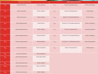 Ácidos grasos saturados

Ácidos grasos insaturados

C6:0

Ácido hexanoico

Ácido caproico

C16:1

Ácido 9-hexadecenoico

Ácido palmitoleico

C8:0

Ácido octanoico

Ácido caprílico

C18:1

Ácido 9-octadecenoico

Ácido oleico

C10:0

Ácido decanoico

Ácido cáprico

C18:2

Ácido 9,12-octadecadienoico

Ácido linoleico

C12:0

Ácido dodecanoico

Ácido láurico

C18:3

Ácido 9,12,15-octadecatrienoico

Ácido -linolénico

C14:0

Ácido tetradecanoico

Ácido mirístico

C18:1

Ácido 6-octadecenoico

Ácido petroselínico

C16:0

Ácido hexadecanoico

Ácido palmítico

C18:3

Ácido 6,9,12-octadecatrienoico

Ácido -linolénico

C18:0

Ácido octadecanoico

Ácido esteárico

C20:4

Ácido 5,8,11,14-tetraeicosanoico

Ácido araquidónico

C20:0

Ácido eicosanoico

Ácido araquídico

C22:1

Ácido 13-docosenoico

Ácido erúcico

C22:0

Ácido docosanoico

Ácido behénico

C24:0

Ácido tetracosanoico

Ácido lignocérico

C26:0

Ácido hexacosanoico

Ácido cerótico

C28:0

Ácido octacosanoico

Ácido montánico

C30:0

Ácido triacontanoico

Ácido melísico

 