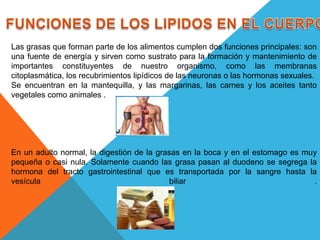 Las grasas que forman parte de los alimentos cumplen dos funciones principales: son
una fuente de energía y sirven como sustrato para la formación y mantenimiento de
importantes constituyentes de nuestro organismo, como las membranas
citoplasmática, los recubrimientos lipídicos de las neuronas o las hormonas sexuales.
Se encuentran en la mantequilla, y las margarinas, las carnes y los aceites tanto
vegetales como animales .

En un adulto normal, la digestión de la grasas en la boca y en el estomago es muy
pequeña o casi nula. Solamente cuando las grasa pasan al duodeno se segrega la
hormona del tracto gastrointestinal que es transportada por la sangre hasta la
vesícula
biliar
.

 