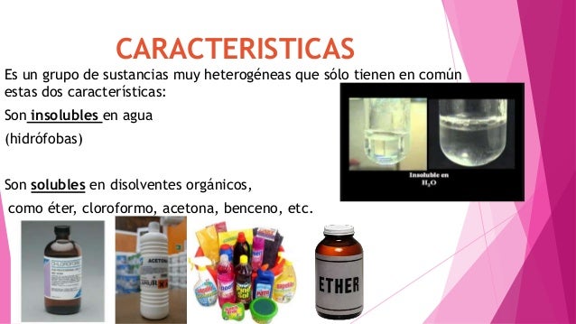 Lipidos