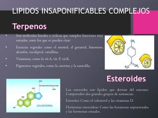 LIPIDOS INSAPONIFICABLES COMPLEJOS
•

Son moléculas lineales o cíclicas que cumplen funciones muy
variadas, entre los que se pueden citar:

•

Esencias vegetales como el mentol, el geraniol, limoneno,
alcanfor, eucaliptol, vainillina.

•

Vitaminas, como la vit.A, vit. E vit.K.

•

Pigmentos vegetales, como la carotina y la xantofila.

•

Los esteroides son lípidos que derivan del esterano.
Comprenden dos grandes grupos de sustancias:

•

Esteroles: Como el colesterol y las vitaminas D.

•

Hormonas esteroideas: Como las hormonas suprarrenales
y las hormonas sexuales.

 