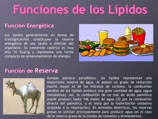 Los lípidos generalmente en forma de
traicilgliceroles constituyen la reserva
energética de uso tardío o diferido del
organismo. Su contenido calórico es muy
alto 10 Kcal/g y representa una forma
compacta de almacenamiento de energía.

Aunque parezca paradójico, los lípidos representan una
importante reserva de agua. Al poseer un grado de reducción
mucho mayor el de los hidratos de carbono, la combustión
aerobia de los lípidos produce una gran cantidad de agua (agua
metabólica). Así, la combustión de un mol de ácido palmítico
puede producir hasta 146 moles de agua (32 por la combustión
directa del palmítico, y el resto por la fosforilación oxidativa
acoplada a la respiración). En animales desérticos, las reservas
grasas se utilizan principalmente para producir agua (es el caso
de la reserva grasa de la joroba de camellos y dromedarios).

 