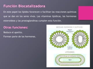 En este papel los lípidos favorecen o facilitan las reacciones químicas
que se dan en los seres vivos. Las vitaminas lipídicas, las hormonas
esteroideas y las prostaglandinas cumplen esta función.

Reduce el apetito.
Forman parte de las hormonas.

 