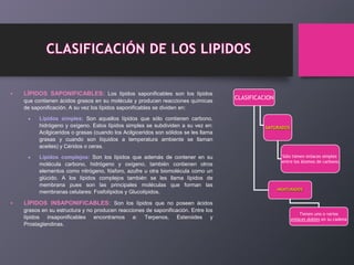 

LÍPIDOS SAPONIFICABLES: Los lípidos saponificables son los lípidos
que contienen ácidos grasos en su molécula y producen reacciones químicas
de saponificación. A su vez los lípidos saponificables se dividen en:
Lípidos simples: Son aquellos lípidos que sólo contienen carbono,
hidrógeno y oxígeno. Estos lípidos simples se subdividen a su vez en:
Acilgiceridos o grasas (cuando los Acilgiceridos son sólidos se les llama
grasas y cuando son líquidos a temperatura ambiente se llaman
aceites) y Céridos o ceras.
Lípidos complejos: Son los lípidos que además de contener en su
molécula carbono, hidrógeno y oxígeno, también contienen otros
elementos como nitrógeno, fósforo, azufre u otra biomolécula como un
glúcido. A los lípidos complejos también se les llama lípidos de
membrana pues son las principales moléculas que forman las
membranas celulares: Fosfolípidos y Glucolípidos.



CLASIFICACION

SATURADOS

Sólo tienen enlaces simples
entre los átomos de carbono.

INSATURADOS

LÍPIDOS INSAPONIFICABLES: Son los lípidos que no poseen ácidos
grasos en su estructura y no producen reacciones de saponificación. Entre los
lípidos insaponificables encontramos a: Terpenos, Esteroides y
Prostaglandinas.

Tienen uno o varios
enlaces dobles en su cadena

 
