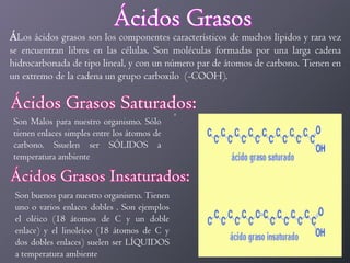 ÁLos ácidos grasos son los componentes característicos de muchos lípidos y rara vez
se encuentran libres en las células. Son moléculas formadas por una larga cadena
hidrocarbonada de tipo lineal, y con un número par de átomos de carbono. Tienen en
un extremo de la cadena un grupo carboxilo (-COOH).

Son Malos para nuestro organismo. Sólo
tienen enlaces simples entre los átomos de
carbono. Ssuelen ser SÓLIDOS a
temperatura ambiente

Son buenos para nuestro organismo. Tienen
uno o varios enlaces dobles . Son ejemplos
el oléico (18 átomos de C y un doble
enlace) y el linoleíco (18 átomos de C y
dos dobles enlaces) suelen ser LÍQUIDOS
a temperatura ambiente

 