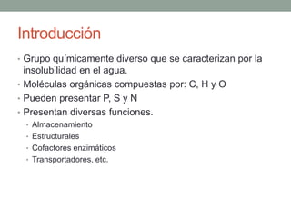 Introducción
• Grupo químicamente diverso que se caracterizan por la
insolubilidad en el agua.
• Moléculas orgánicas compuestas por: C, H y O
• Pueden presentar P, S y N
• Presentan diversas funciones.
• Almacenamiento
• Estructurales
• Cofactores enzimáticos
• Transportadores, etc.
 