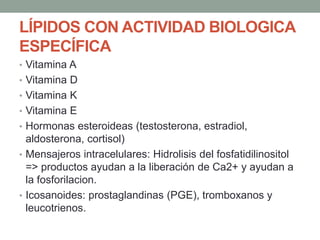 LÍPIDOS CON ACTIVIDAD BIOLOGICA
ESPECÍFICA
• Vitamina A
• Vitamina D
• Vitamina K
• Vitamina E
• Hormonas esteroideas (testosterona, estradiol,
aldosterona, cortisol)
• Mensajeros intracelulares: Hidrolisis del fosfatidilinositol
=> productos ayudan a la liberación de Ca2+ y ayudan a
la fosforilacion.
• Icosanoides: prostaglandinas (PGE), tromboxanos y
leucotrienos.
 