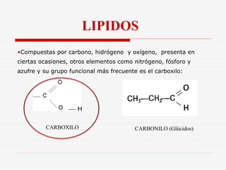 LIPIDOS 
•Compuestas por carbono, hidrógeno y oxígeno, presenta en 
ciertas ocasiones, otros elementos como nitrógeno, fósforo y 
azufre y su grupo funcional más frecuente es el carboxilo: 
CARBOXILO CARBONILO (Glúcidos) 
 