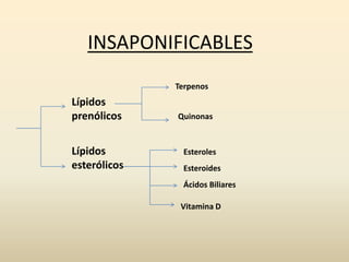 INSAPONIFICABLES
Lípidos
prenólicos
Lípidos
esterólicos
Terpenos
Quinonas
Esteroles
Esteroides
Ácidos Biliares
Vitamina D
 