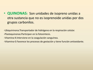 • QUINONAS: Son unidades de isopreno unidas a
otra sustancia que no es isoprenoide unidas por dos
grupos carbonilos.
-Ubiquininona:Transportador de hidrógeno en la respiración celular.
-Plastoquinonas:Participan en la fotosíntesis.
-Vitamina-K:Interviene en la coagulación sanguínea.
-Vitamina-E:Favorece los procesos de gestación y tiene función antioxidante.
 