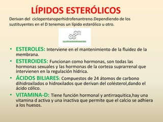 LÍPIDOS ESTERÓLICOS
• ESTEROLES: Interviene en el mantenimiento de la fluidez de la
membrana.
• ESTEROIDES: Funcionan como hormonas, son todas las
hormonas sexuales y las hormonas de la corteza suprarrenal que
intervienen en la regulación hídrica.
• ÁCIDOS BILIARES: Compuestos de 24 átomos de carbono
dihidroxilados o hidroxilados que derivan del colésterol,dando el
ácido cólico.
• VITAMINA-D: Tiene función hormonal y antirraquitica,hay una
vitamina d activa y una inactiva que permite que el calcio se adhiera
a los huesos.
Derivan del ciclopentanoperhidrofenantreno.Dependiendo de los
sustituyentes en el D tenemos un lípido esterólico u otro.
 