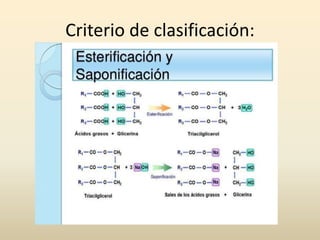 Criterio de clasificación:
 