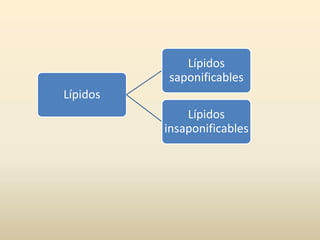 Lípidos
Lípidos
saponificables
Lípidos
insaponificables
 