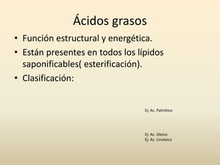 Ácidos grasos
• Función estructural y energética.
• Están presentes en todos los lípidos
saponificables( esterificación).
• Clasificación:
Ej: Ac. Palmítico
Ej: Ac. Oleico
Ej: Ac. Linoleico
 
