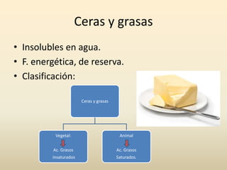 Ceras y grasas
• Insolubles en agua.
• F. energética, de reserva.
• Clasificación:
Ceras y grasas
Vegetal:
Ac. Grasos
insaturados
Animal
Ac. Grasos
Saturados.
 