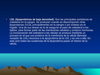 • LDL (lipoproteínas de baja densidad): Son las principales portadoras de
colesterol en la sangre. Se producen cuando se descomponen otras
lipoproteínas (VLDL principalmente) en la sangre o por síntesis en el
hígado. Una de sus tareas es la de asegurar el paso de colesterol a los
tejidos, para formar parte de las membranas celulares y producir hormonas.
La incorporación del colesterol a las células se produce mediante un
proceso en el que una proteína de la membrana de la célula (llamada
receptor de LDL) reconoce a la apoproteína de la LDL y se une a ella. En
este acto todas las sustancias de la lipoproteína pasan al interior de la
célula.
 