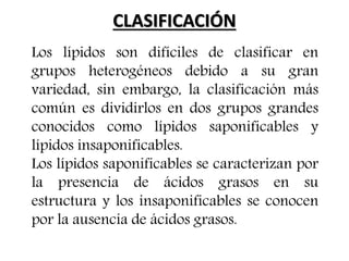 CLASIFICACIÓN
Los lípidos son difíciles de clasificar en
grupos heterogéneos debido a su gran
variedad, sin embargo, la clasificación más
común es dividirlos en dos grupos grandes
conocidos como lípidos saponificables y
lípidos insaponificables.
Los lípidos saponificables se caracterizan por
la presencia de ácidos grasos en su
estructura y los insaponificables se conocen
por la ausencia de ácidos grasos.
 