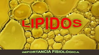 Lipidos