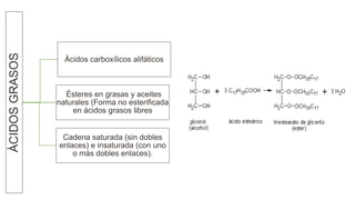 ÀCIDOSGRASOS
Ácidos carboxílicos alifáticos
Ésteres en grasas y aceites
naturales (Forma no esterificada
en ácidos grasos libres
Cadena saturada (sin dobles
enlaces) e insaturada (con uno
o más dobles enlaces).
 