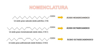 ÁCIDO HEXADECANOICO
ÁCIDO OCTADECANOICO
ÁCIDO OCTADECADIENOICO
Los átomos de carbono se numeran desde el carbono carboxilo (carbono núm. 1). Los
átomos de carbono adyacentes al carbono carboxilo (núms. 2, 3 y 4) también se conocen
como los carbonos α, β y γ, respectivamente.
 